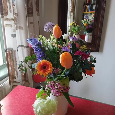 B&B B&B Pastorie Gassel *